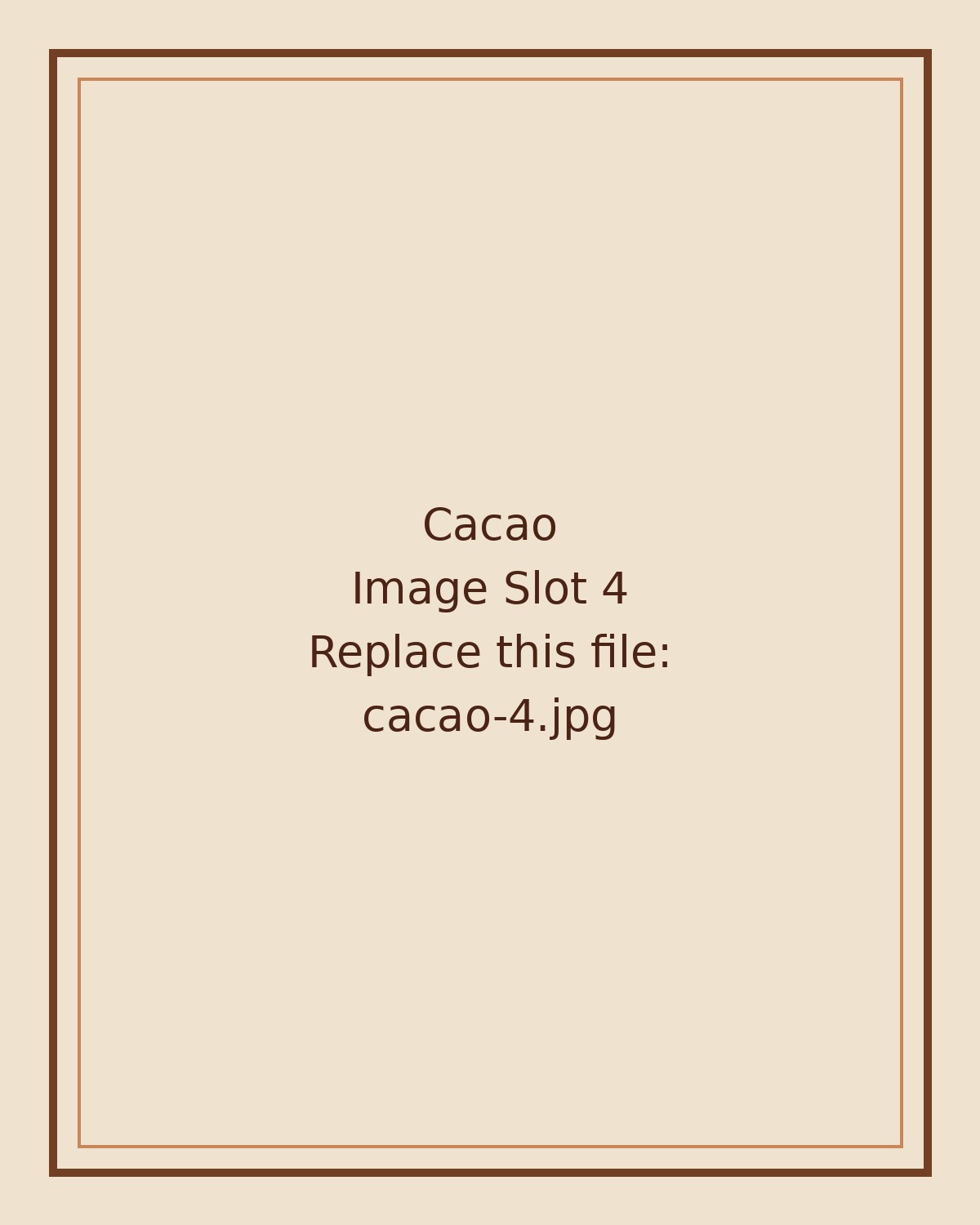Cacao image 4