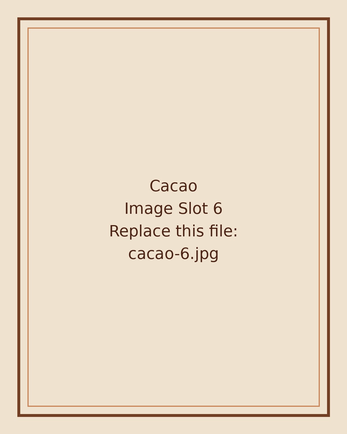 Cacao image 7